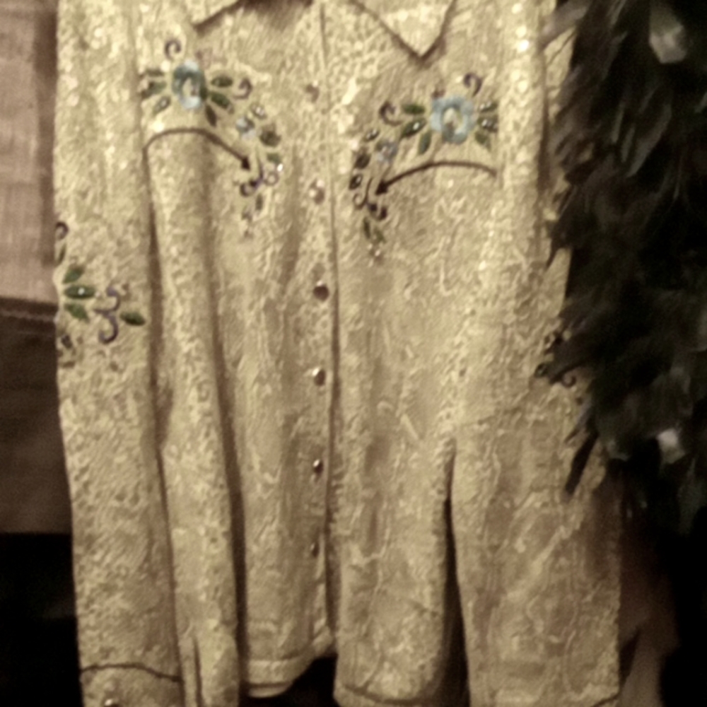 VINTAGE DOUBLE D RANCH WOMANS WESTERN BUTTON DOWN.BLOUSE.